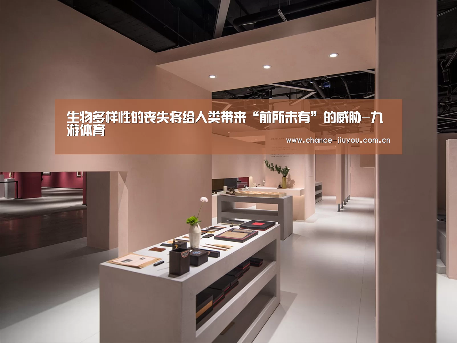 生物多样性的丧失将给人类带来“前所未有”的威胁-九游体育(图1) 九游体育