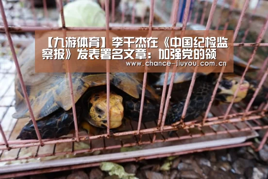 九游体育
