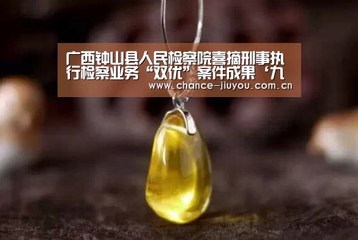 广西钟山县人民检察院喜摘刑事执行检察业务“双优”案件成果‘九游体育’(图1) 九游体育